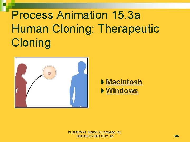 Process Animation 15. 3 a Human Cloning: Therapeutic Cloning Macintosh Windows © 2006 W.