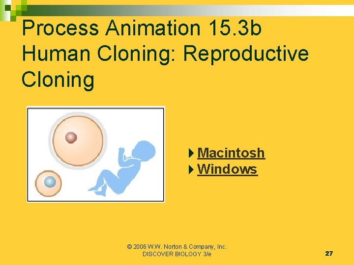 Process Animation 15. 3 b Human Cloning: Reproductive Cloning Macintosh Windows © 2006 W.
