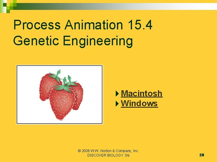 Process Animation 15. 4 Genetic Engineering Macintosh Windows © 2006 W. W. Norton &