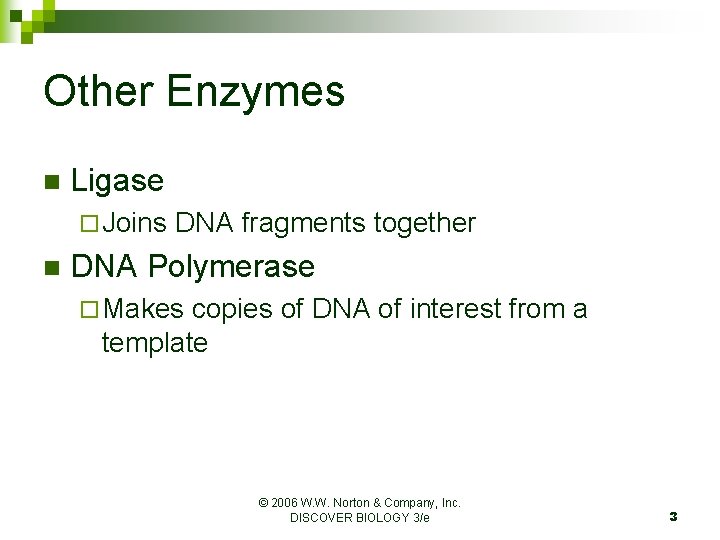 Other Enzymes n Ligase ¨ Joins n DNA fragments together DNA Polymerase ¨ Makes