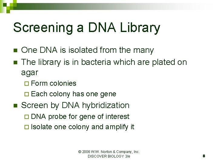 Screening a DNA Library n n One DNA is isolated from the many The