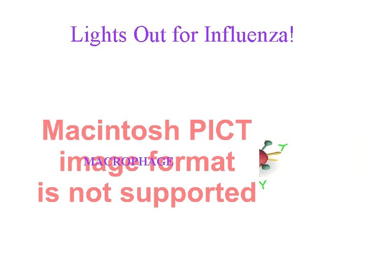 Lights Out for Influenza! Y Y Y MACROPHAGE Y Y 