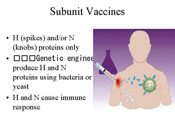 Subunit Vaccines • H (spikes) and/or N (knobs) proteins only • ���Genetic engineering: produce