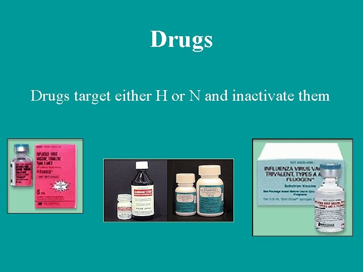Drugs target either H or N and inactivate them 