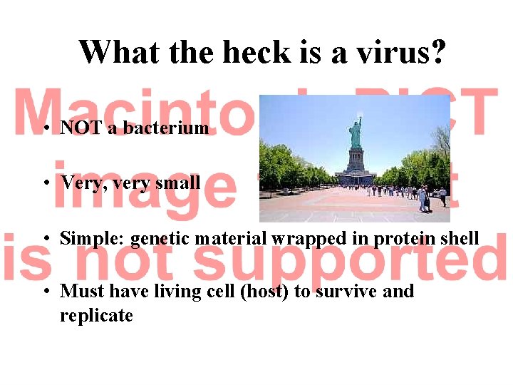 What the heck is a virus? • NOT a bacterium • Very, very small