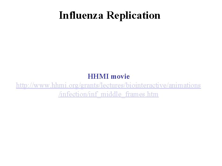 Influenza Replication HHMI movie http: //www. hhmi. org/grants/lectures/biointeractive/animations /infection/inf_middle_frames. htm 