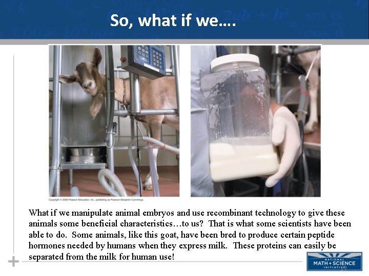 So, what if we…. So, what animal if we…embryos and use recombinant technology to