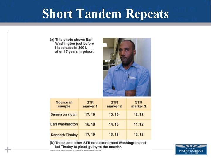 Short Tandem Repeats 31 