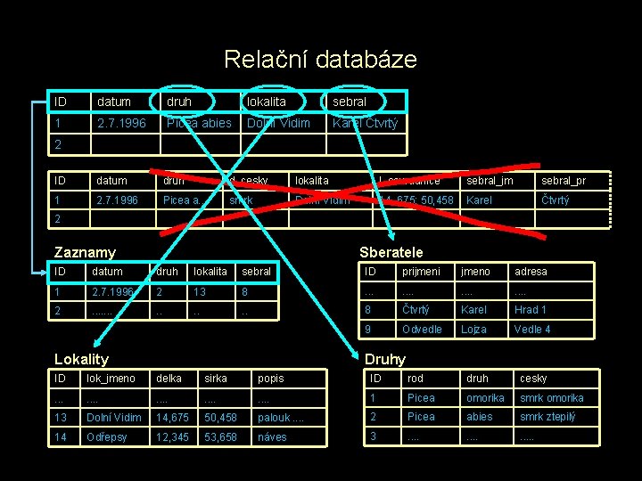 Relační databáze ID datum druh lokalita sebral 1 2. 7. 1996 Picea abies Dolní