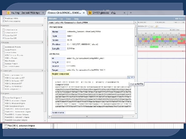 Cotton. Gen JBrowse 