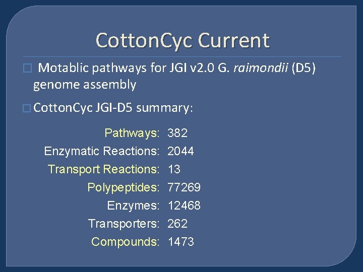 Cotton. Cyc Current � Motablic pathways for JGI v 2. 0 G. raimondii (D