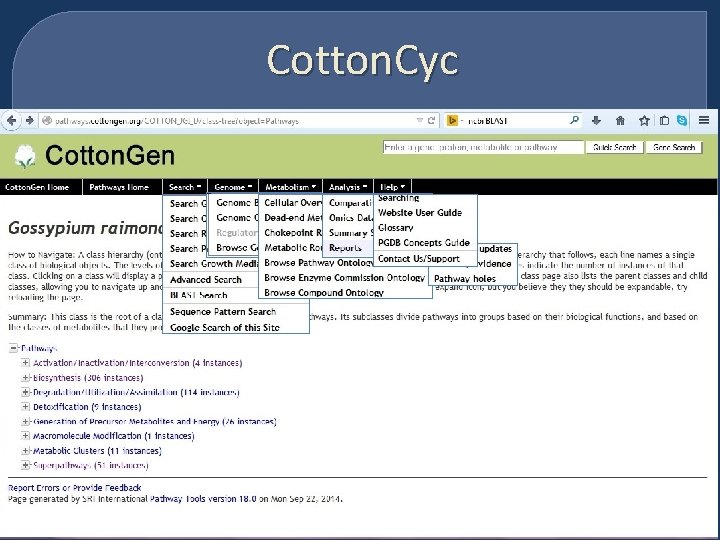Cotton. Cyc 