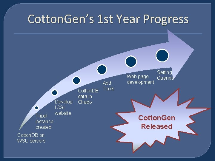 Cotton. Gen’s 1 st Year Progress Tripal instance created Cotton. DB on WSU servers