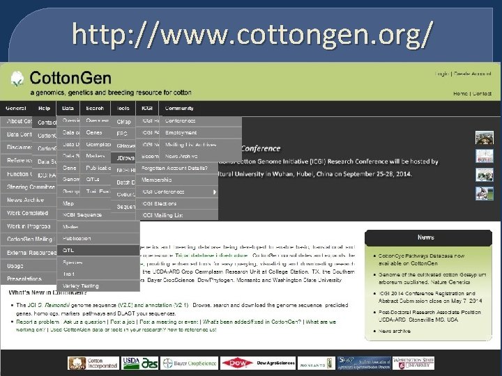 http: //www. cottongen. org/ 