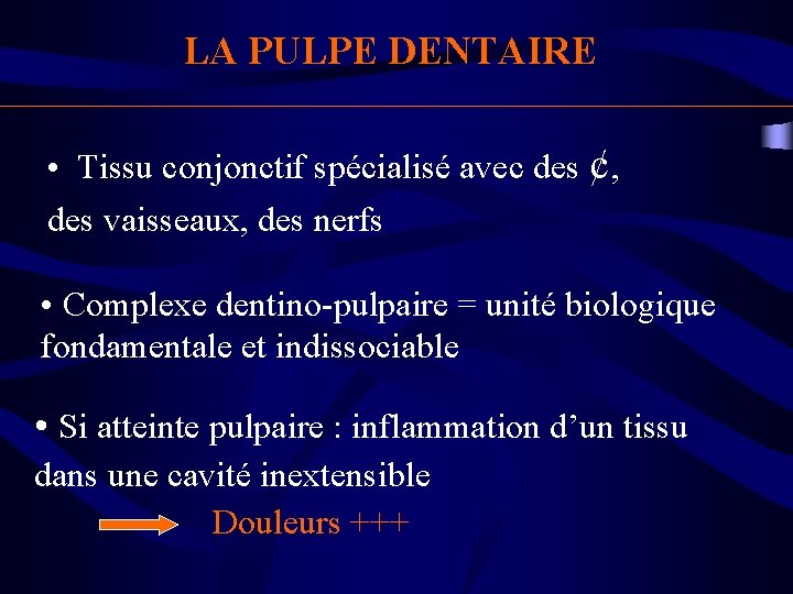 LA PULPE DENTAIRE • Tissu conjonctif spécialisé avec des ¢, des vaisseaux, des nerfs