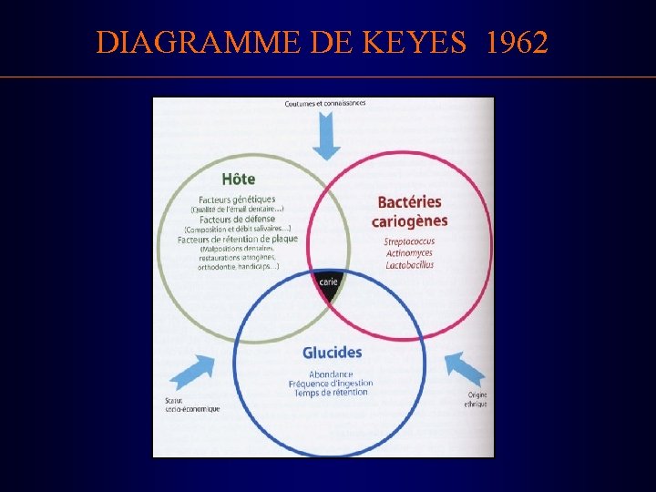 DIAGRAMME DE KEYES 1962 