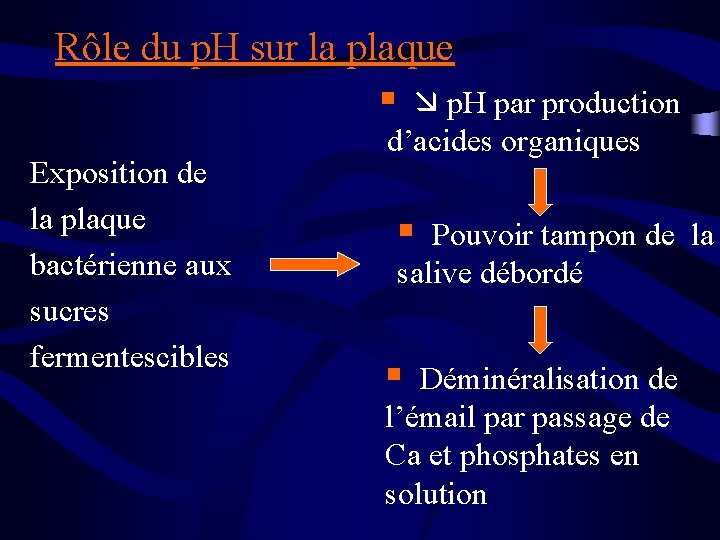 Rôle du p. H sur la plaque § p. H par production Exposition de
