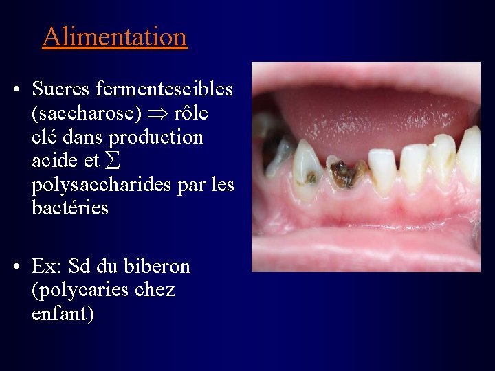 Alimentation • Sucres fermentescibles (saccharose) rôle clé dans production acide et polysaccharides par les