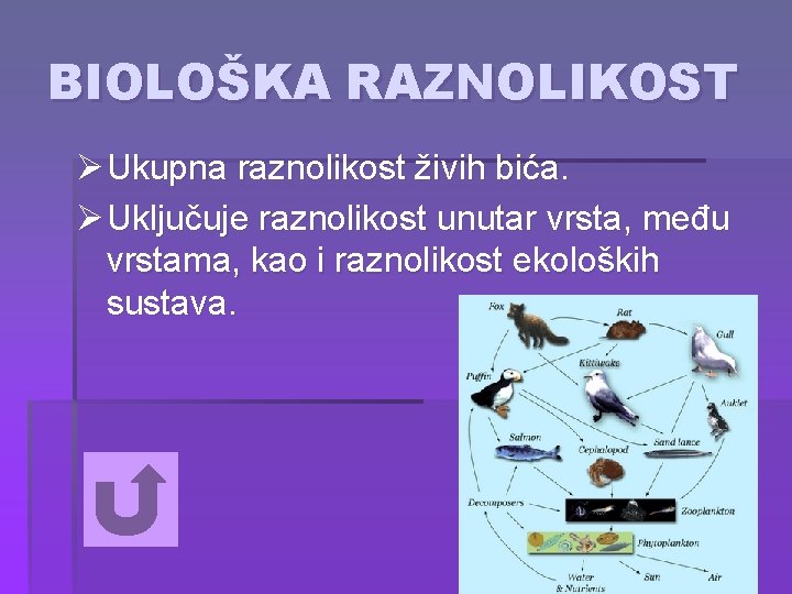 BIOLOŠKA RAZNOLIKOST Ø Ukupna raznolikost živih bića. Ø Uključuje raznolikost unutar vrsta, među vrstama,