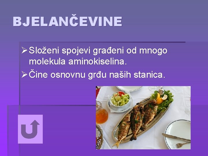 BJELANČEVINE Ø Složeni spojevi građeni od mnogo molekula aminokiselina. Ø Čine osnovnu grđu naših