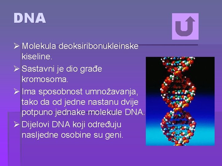 DNA Ø Molekula deoksiribonukleinske kiseline. Ø Sastavni je dio građe kromosoma. Ø Ima sposobnost