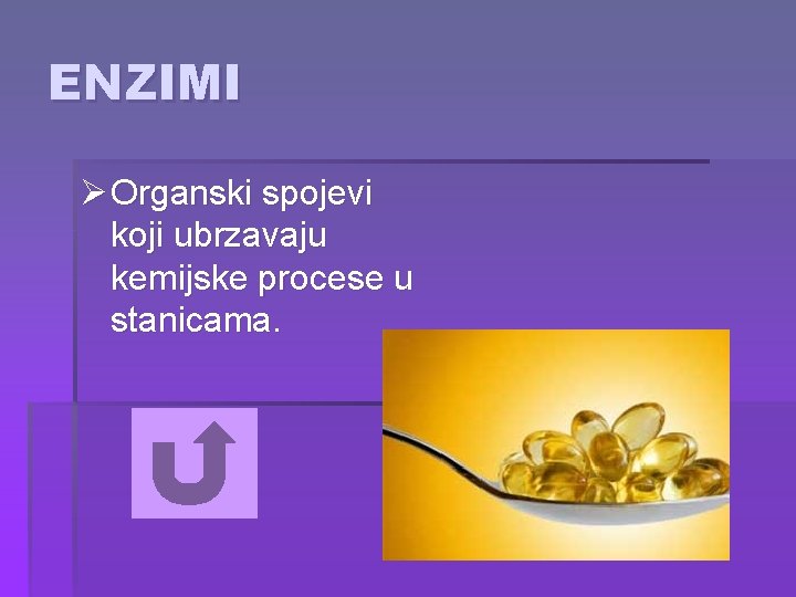 ENZIMI Ø Organski spojevi koji ubrzavaju kemijske procese u stanicama. 