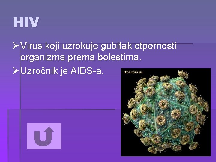 HIV Ø Virus koji uzrokuje gubitak otpornosti organizma prema bolestima. Ø Uzročnik je AIDS-a.