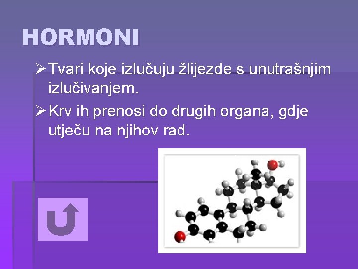 HORMONI Ø Tvari koje izlučuju žlijezde s unutrašnjim izlučivanjem. Ø Krv ih prenosi do