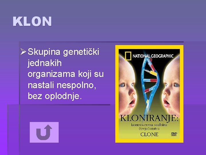 KLON Ø Skupina genetički jednakih organizama koji su nastali nespolno, bez oplodnje. 