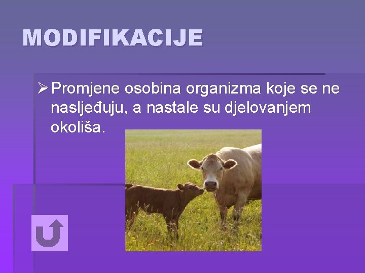 MODIFIKACIJE Ø Promjene osobina organizma koje se ne nasljeđuju, a nastale su djelovanjem okoliša.