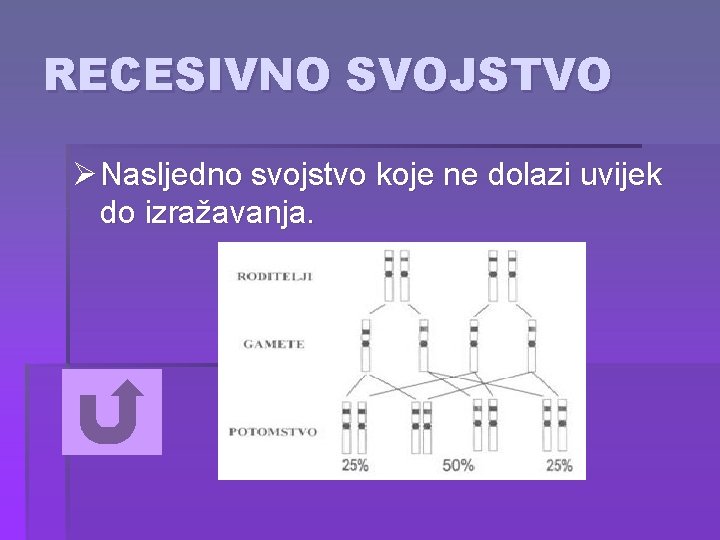RECESIVNO SVOJSTVO Ø Nasljedno svojstvo koje ne dolazi uvijek do izražavanja. 