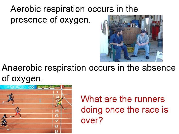 Aerobic respiration occurs in the presence of oxygen. Anaerobic respiration occurs in the absence