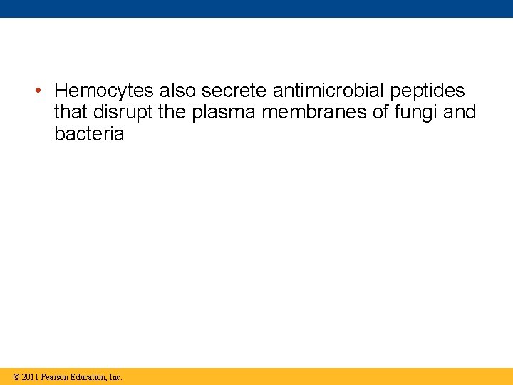  • Hemocytes also secrete antimicrobial peptides that disrupt the plasma membranes of fungi