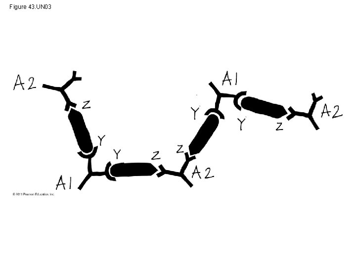 Figure 43. UN 03 