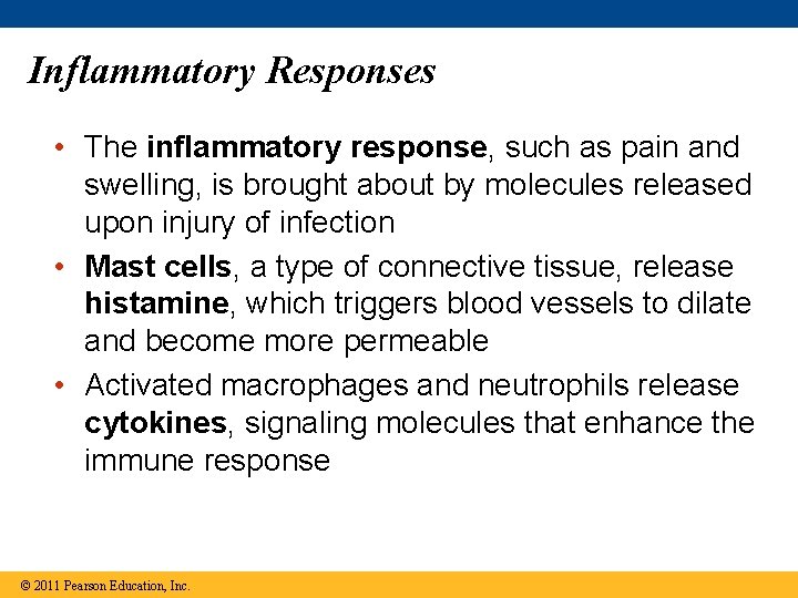 Inflammatory Responses • The inflammatory response, such as pain and swelling, is brought about