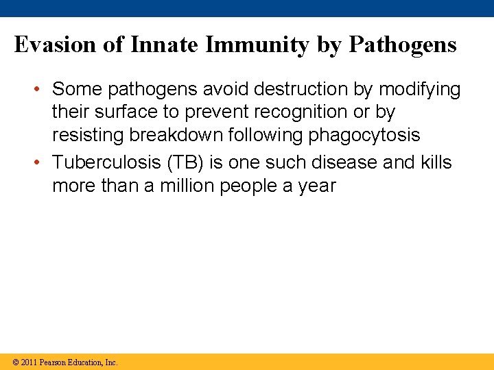 Evasion of Innate Immunity by Pathogens • Some pathogens avoid destruction by modifying their