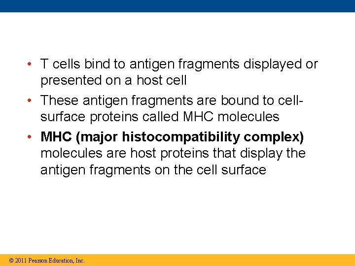  • T cells bind to antigen fragments displayed or presented on a host