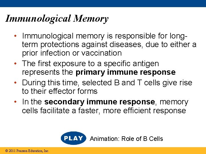Immunological Memory • Immunological memory is responsible for longterm protections against diseases, due to