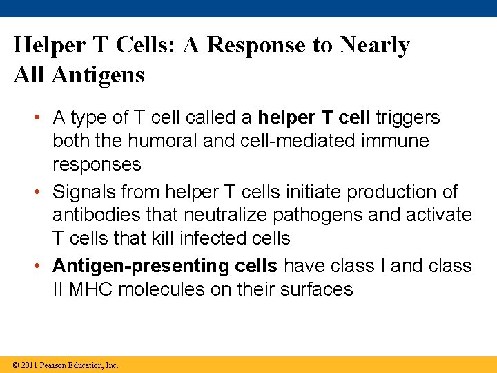 Helper T Cells: A Response to Nearly All Antigens • A type of T
