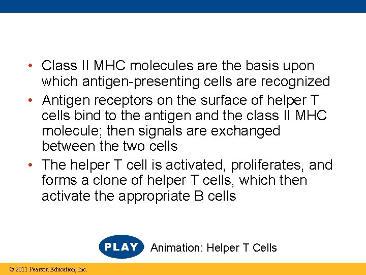  • Class II MHC molecules are the basis upon which antigen-presenting cells are