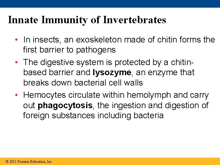 Innate Immunity of Invertebrates • In insects, an exoskeleton made of chitin forms the