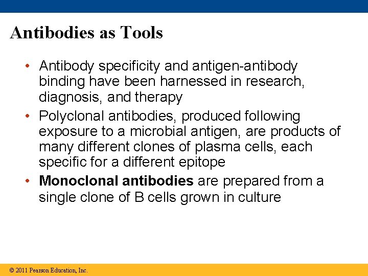 Antibodies as Tools • Antibody specificity and antigen-antibody binding have been harnessed in research,