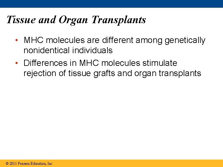 Tissue and Organ Transplants • MHC molecules are different among genetically nonidentical individuals •