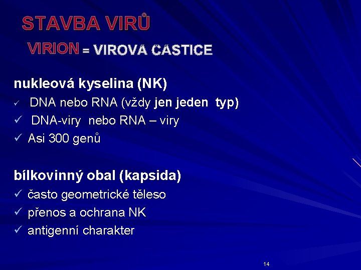 STAVBA VIRŮ VIRION nukleová kyselina (NK) DNA nebo RNA (vždy jen jeden typ) ü