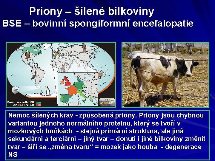 Priony – šílené bílkoviny BSE – bovinní spongiformní encefalopatie Nemoc šílených krav - způsobená