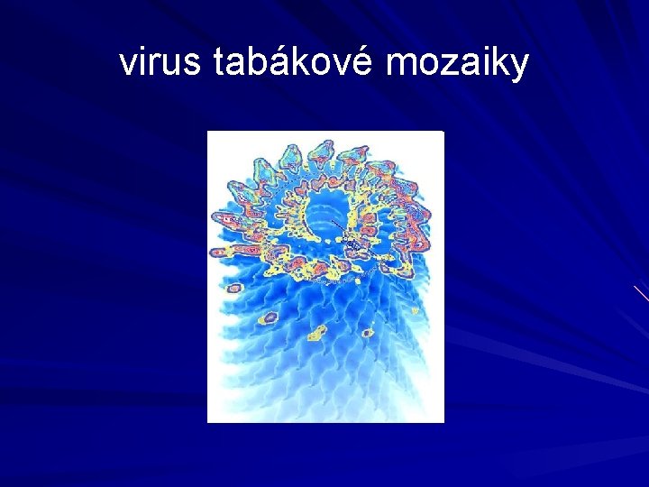 virus tabákové mozaiky 