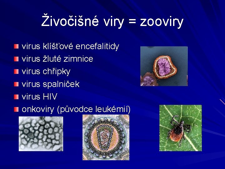 Živočišné viry = zooviry virus klíšťové encefalitidy virus žluté zimnice virus chřipky virus spalniček