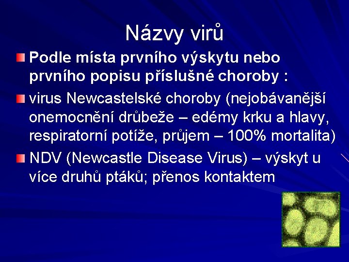 Názvy virů Podle místa prvního výskytu nebo prvního popisu příslušné choroby : virus Newcastelské