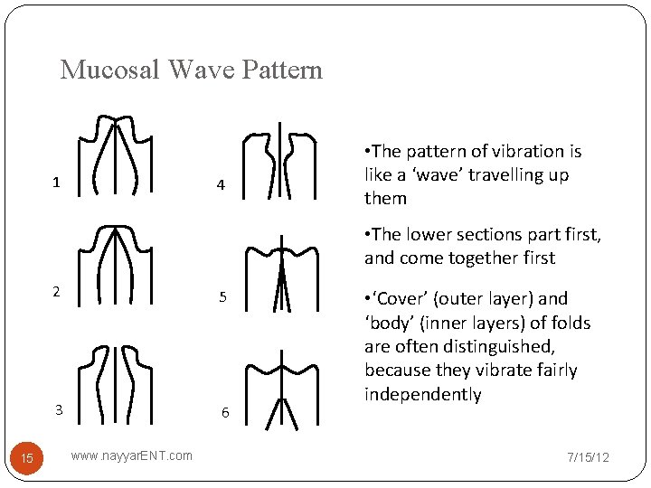 Mucosal Wave Pattern 1 4 • The pattern of vibration is like a ‘wave’