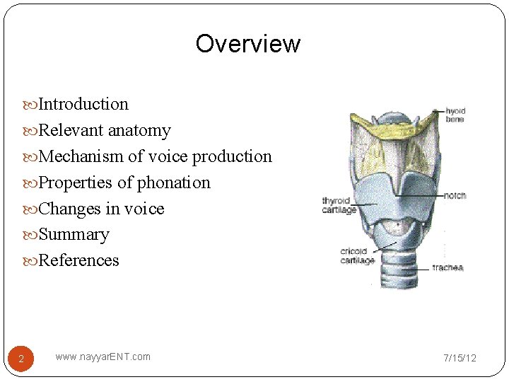 Overview Introduction Relevant anatomy Mechanism of voice production Properties of phonation Changes in voice